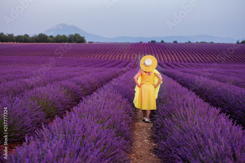 asian woman in yellow dress and hat at lavender field