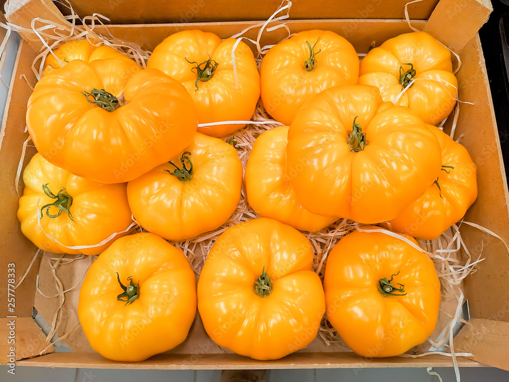 Obraz premium Fresh big yellow grape tomatoes