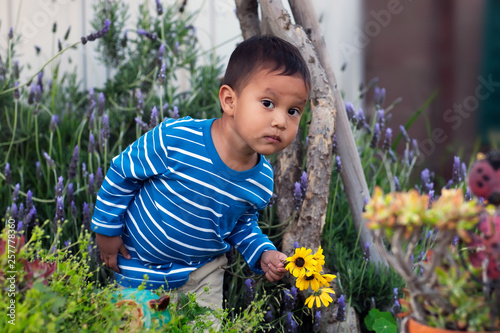A toddler with a suspicious expression trying to hide,  while holding picked flowers from a lush california native garden.