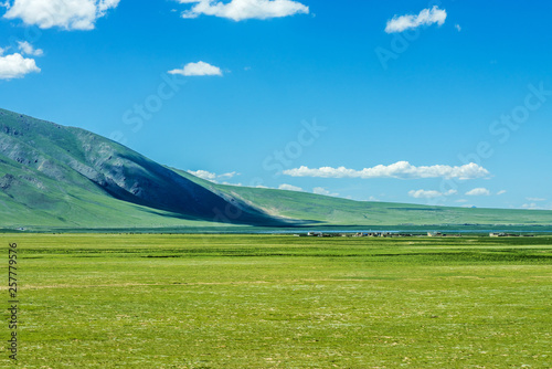aqu Qiangtang Plateau Ranch Scenery, Tibet, China © hrui