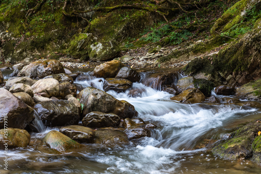 Mountain stream with clear water in the boxwood forest, Krasnodar region, Russia