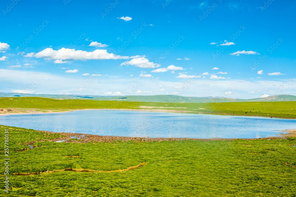 anjiangyuan Nature Reserve, the highest elevation natural wetland, Tibet, China