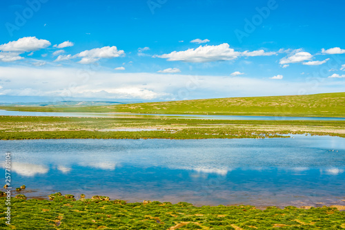 anjiangyuan Nature Reserve  the highest elevation natural wetland  Tibet  China
