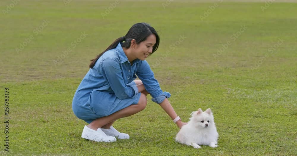 Woman play with her pomeranian dog at park