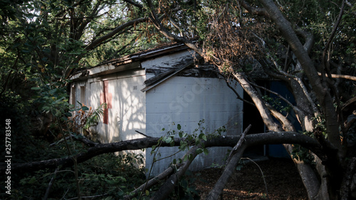 abandoned medic house in forest © evan