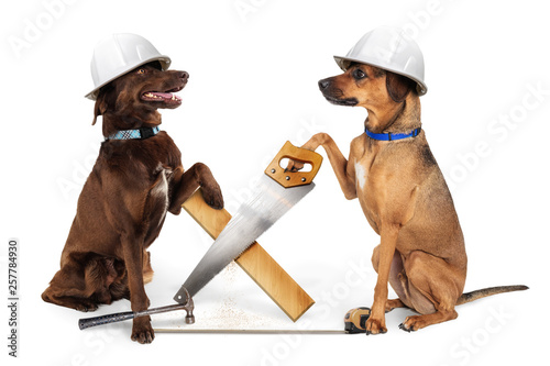 Canvas Print Funny Construction Dogs Building With Wood