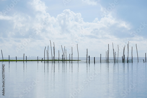 Wooden poles in the lake