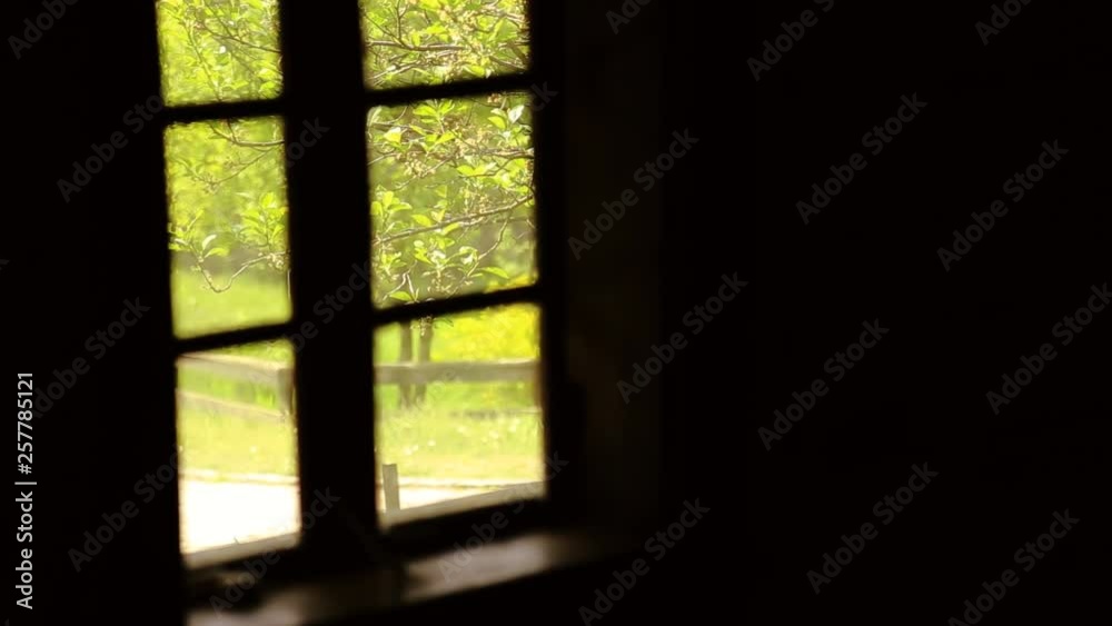 View through the dirty old wooden window on green summer garden. Exploring customs and View through the dirty old wooden window on green summer garden. Exploring customs and