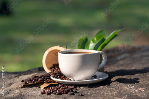 White coffee cup with beans on the farm