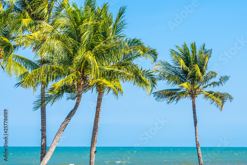 Beautiful Coconut palm leaf tree with beach sea and ocean on blue sky