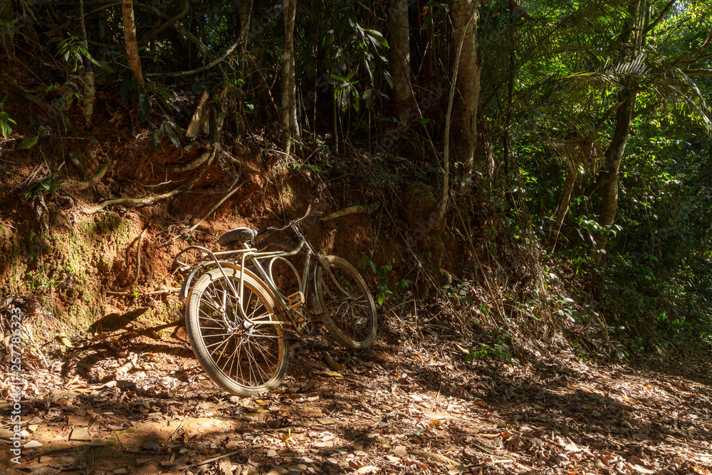 Bicicleta em estrada rural brasileira