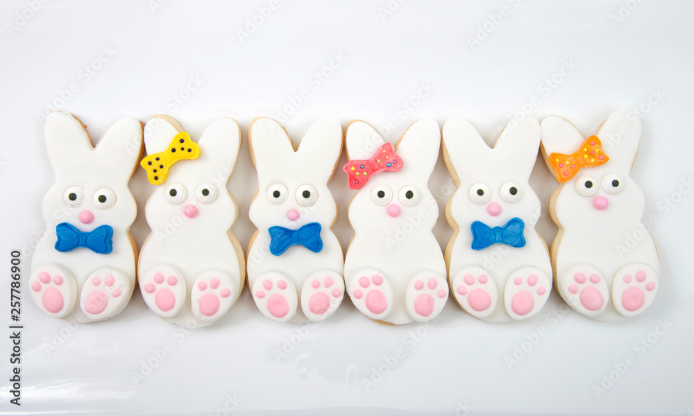 Easter bunny cookies, boys and girls with bow and bow tie on a rectangular plate  isolated on white background. Close up. Home made original design.