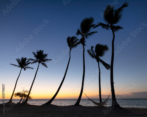 Silhouette of hammock and palm trees at sunrise on a beach in the Dominican Republic