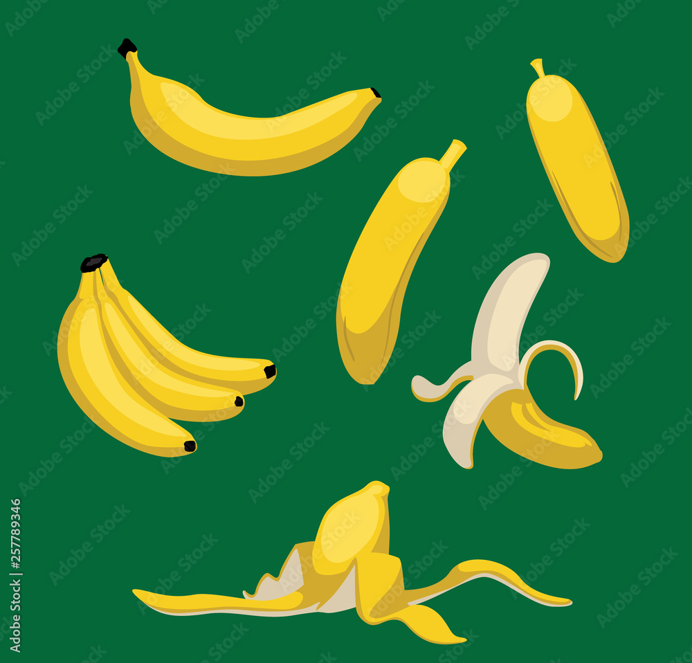Various Banana Vector Fruit in many forms