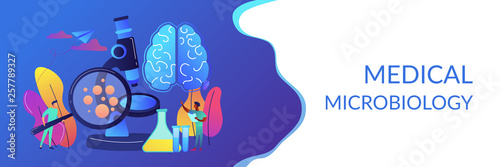 Tiny people scientists study microorganisms through magnifier. Microbiological technology, medical microbiology, biotechnology science concept. Header or footer banner template with copy space.
