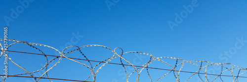 barbed wire and thorns on the background of blue sky