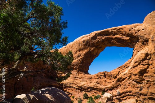 Arches National Park 