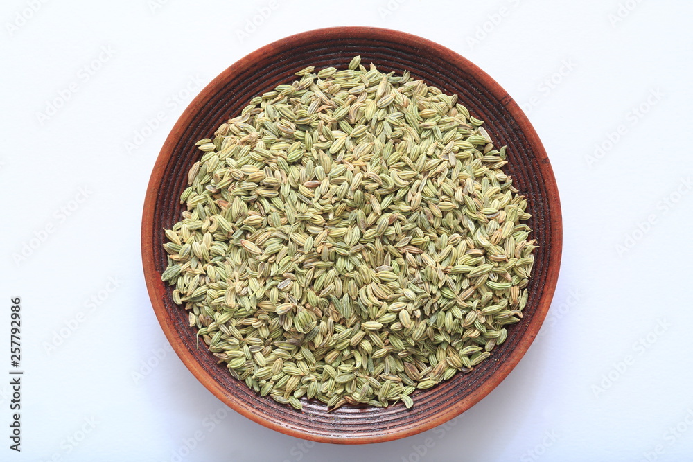 Image of fennel (herb) Image of fennel (herb)