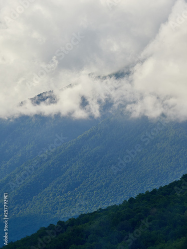 High green mountains with peaks in thick clouds
