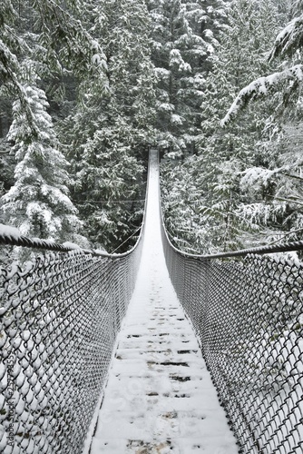 Fototapeta Naklejka Na Ścianę i Meble -  Lynn Valley Park on snowy day