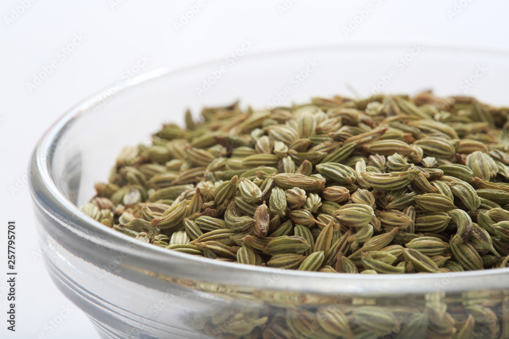 Image of fennel (herb) Image of fennel (herb)