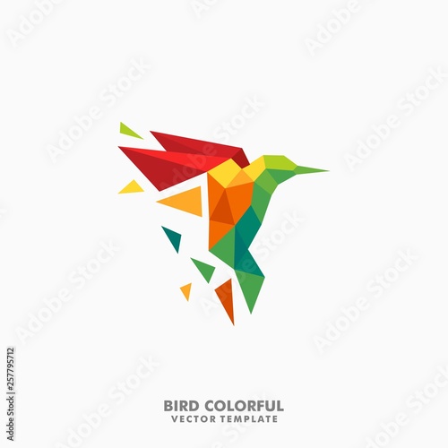 Hummingbird Polygon color full Concept illustration vector Design template