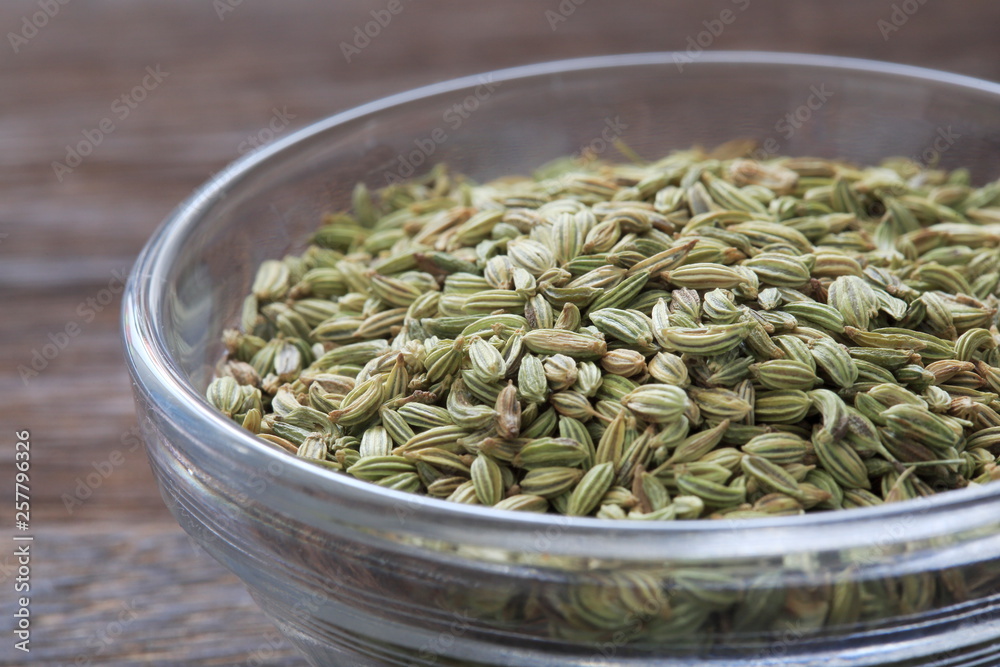 Image of fennel (herb) Image of fennel (herb)