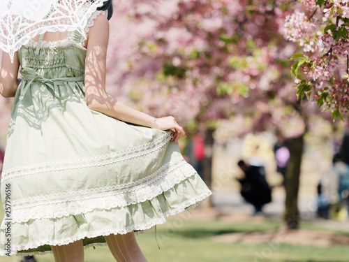 Rear view of Asian woman wearing green lolita dress and holding white lace umbrella in cherry blossom park in spring. photo