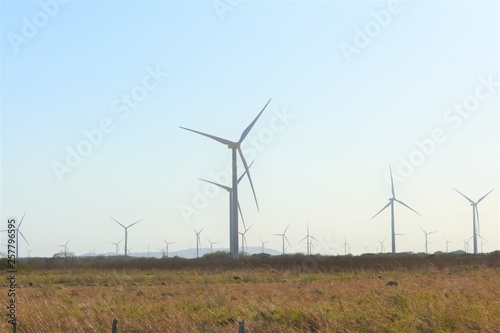 Renovable power wind