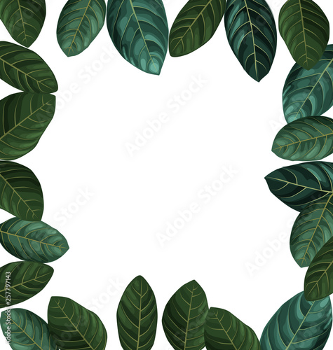 Foliage copy space border