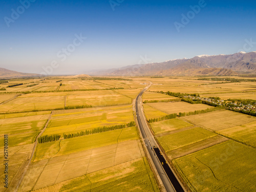Yellow field and blue sky. The pastoral landscape. The countryside colorful background，Xinjiang, China。