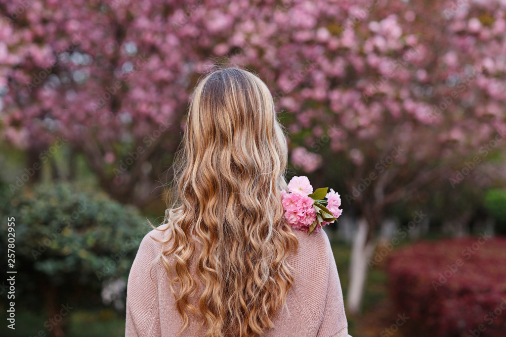 Beautiful young woman with long curly blonde hair from behind holding blooming branch of sakura tree - obrazy, fototapety, plakaty 