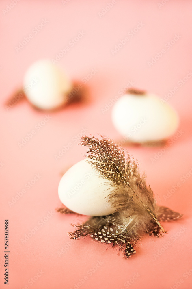 Obraz premium Egg and feathers on a pink background close-up and copy space. Easter concept with egg and feathers.