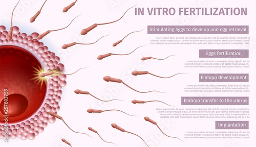 Reproductive Medicine. In Vitro Fertilization