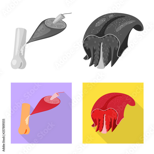 Isolated object of fiber and muscular logo. Set of fiber and body  vector icon for stock.