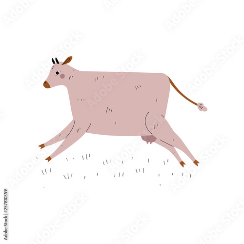 Beige Cow Jumping, Dairy Cattle Animal Husbandry Breeding Vector Illustration