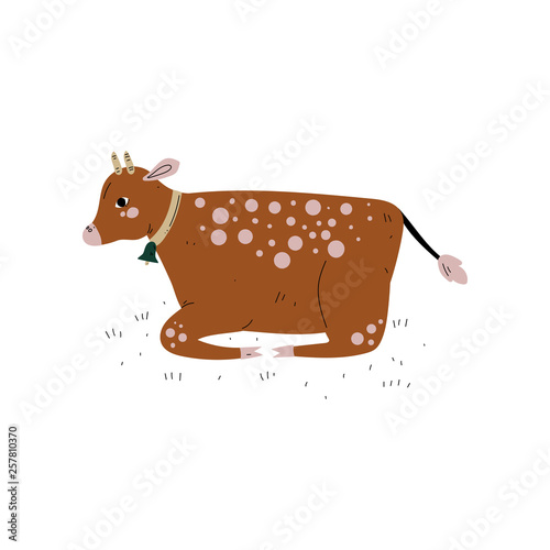 Brown Cow Lying on Grass, Dairy Cattle Animal Husbandry Breeding Vector Illustration