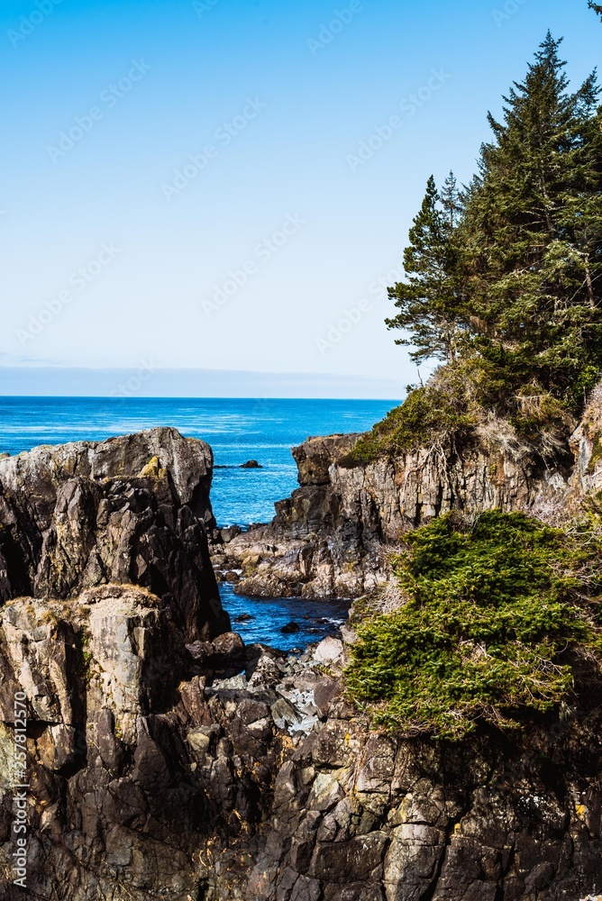landscape of a the ocean, beach  and cliff (vertical view)