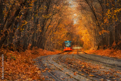 Red Tram rails in autumn season with red tram on railway