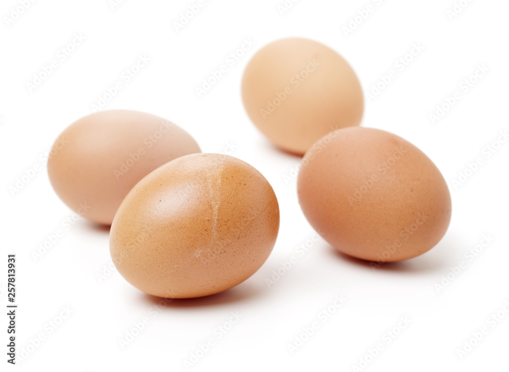 eggs on a white background eggs on a white background