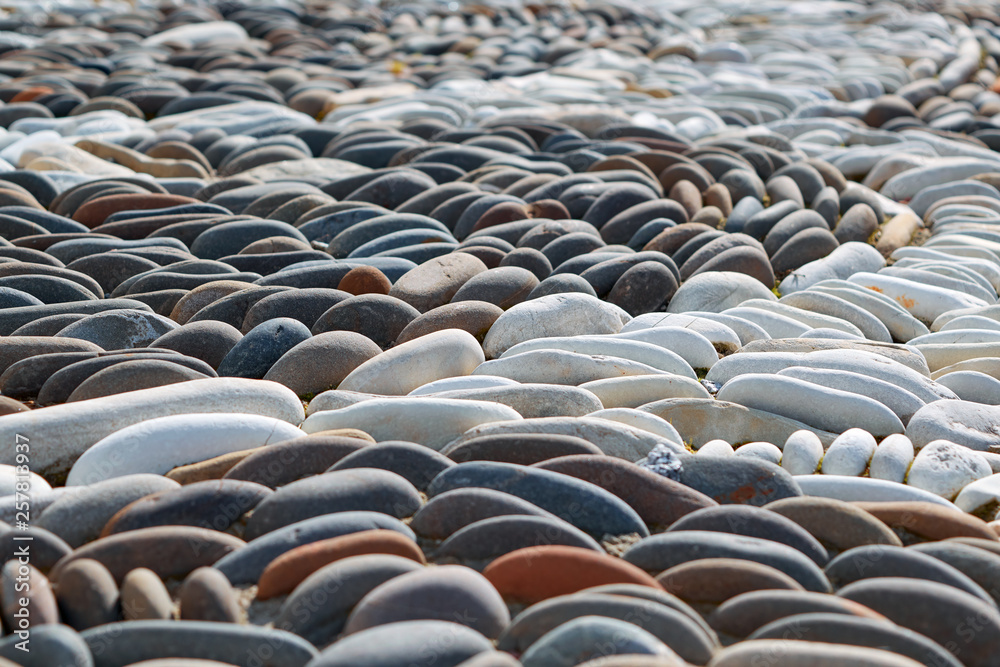 Obraz premium Oval pebbles or stones are laid in a pattern. White cobblestones are lined with a bend. The stones lie close to each other. Decoration for garden. The pebbles are illuminated by sunlight.