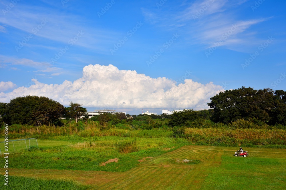 相模川の寒川取水堰上流の景色