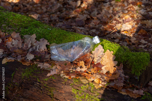 Plastic bottle waste on forest floor closeup