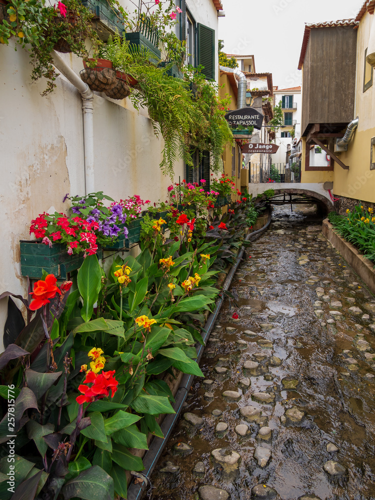 Blumenpracht in Funchal