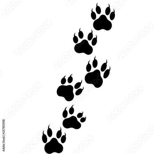 Paw logo or cat and dog animal pet vector paw