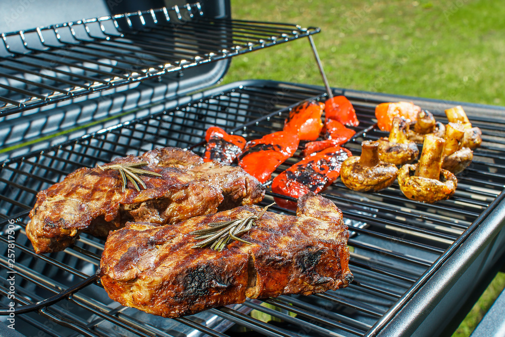 beef steak and grilled vegetables in nature beef steak and grilled vegetables in nature