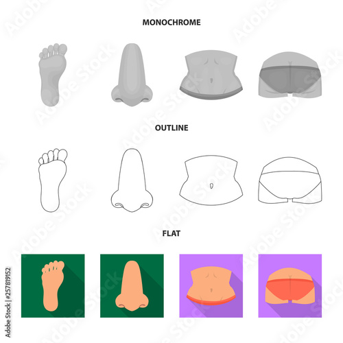 Vector design of body and part sign. Set of body and anatomy stock vector illustration.