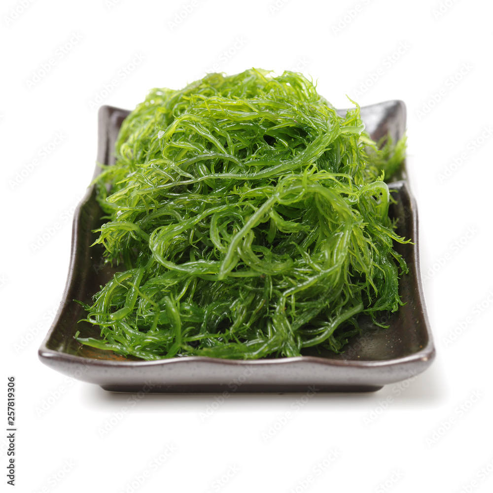Laminaria (Kelp) Seaweed Isolated on White Background Laminaria (Kelp) Seaweed Isolated on White Background