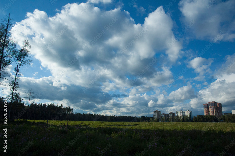 Obraz premium landscape with blue sky and clouds