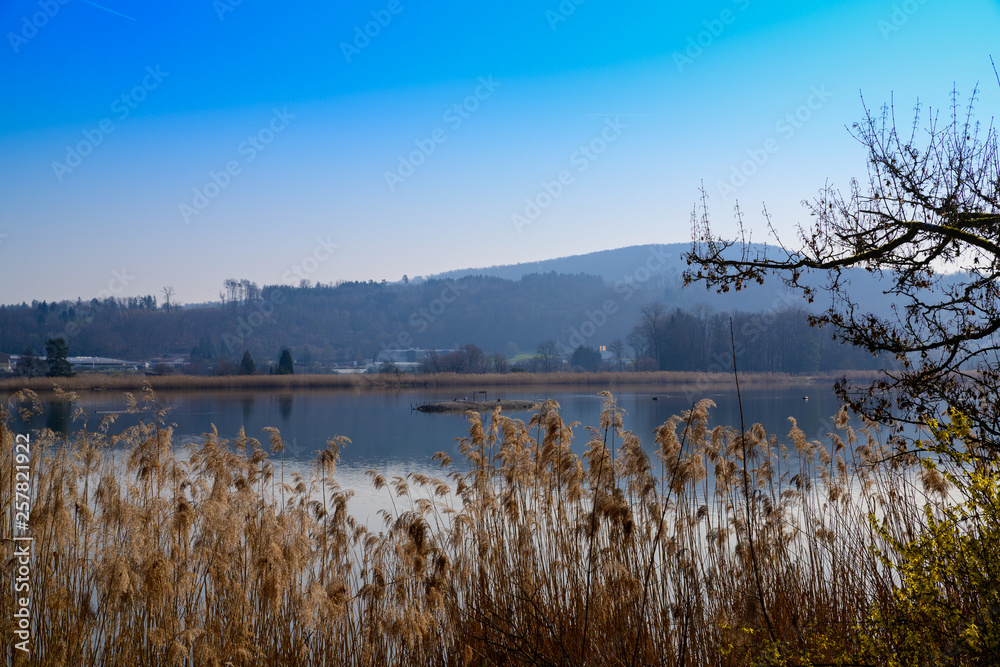 Bird protection lake at Klingnau in Switzerland Bird protection lake at Klingnau in Switzerland